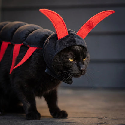 Catzilla - Disfraz Ciempiés para Gatos